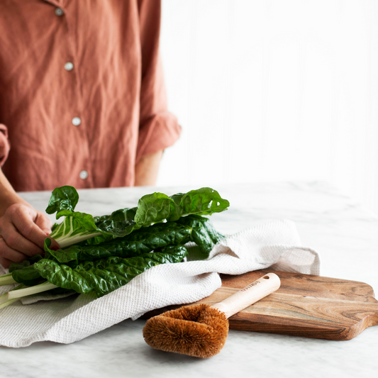 Coconut Dish Scrubber