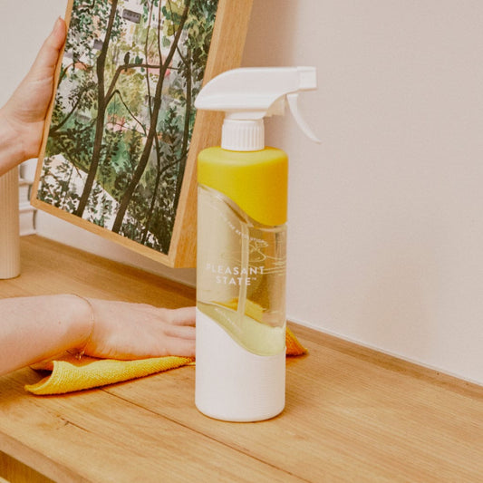 Multi-Purpose Glass Cleaning Bottle
