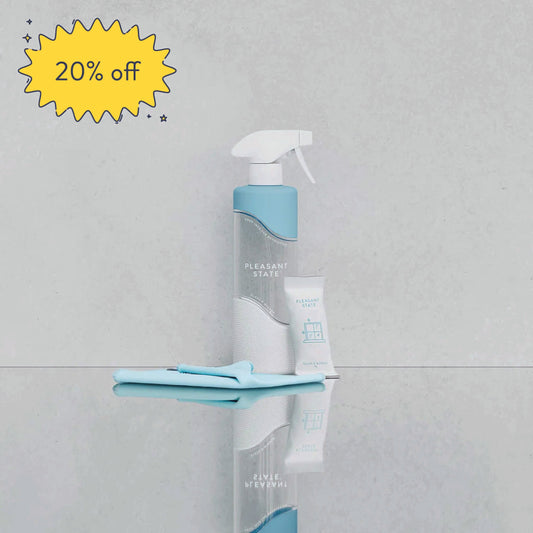 Glass and Window Cleaning Kit