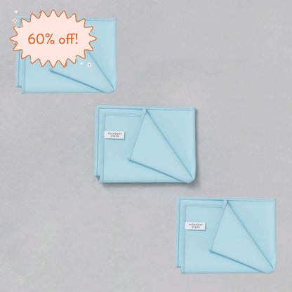 Glass & Window Microfibre Towel (3 Pack)