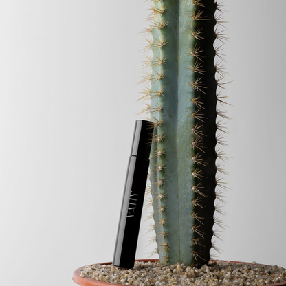 Sahara Nomad Travel Spray