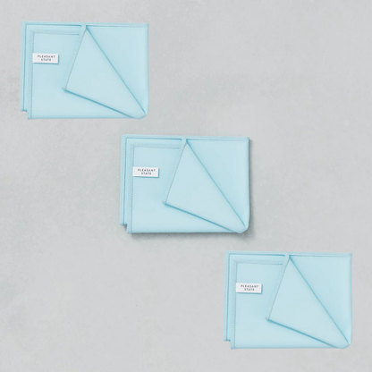 Glass & Window Microfibre Towel (3 Pack)