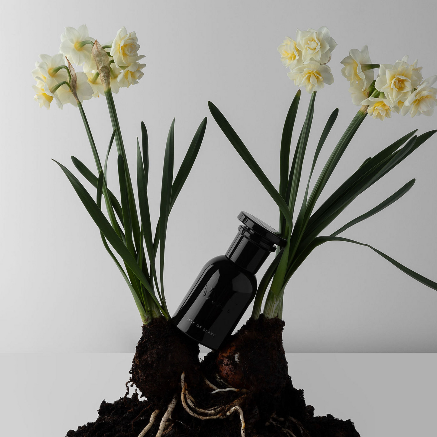 Isle of Blanc Perfume