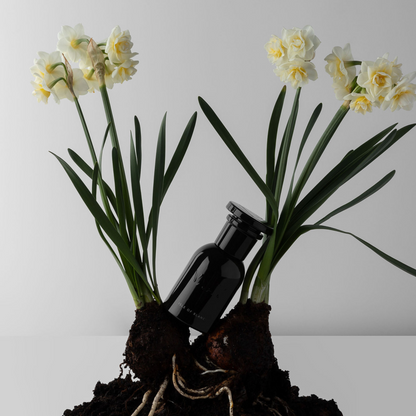 Isle of Blanc Perfume