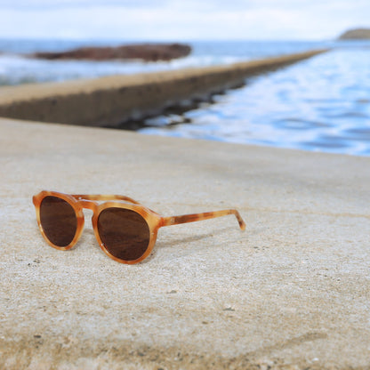 Freshie (Crab) Polarised Sunglasses - NEW!