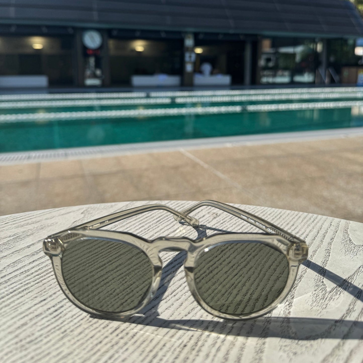 Freshie (Turtle) Polarised Sunglasses - NEW!