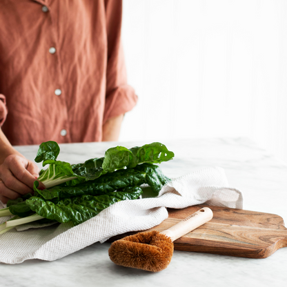 Coconut Dish Scrubber