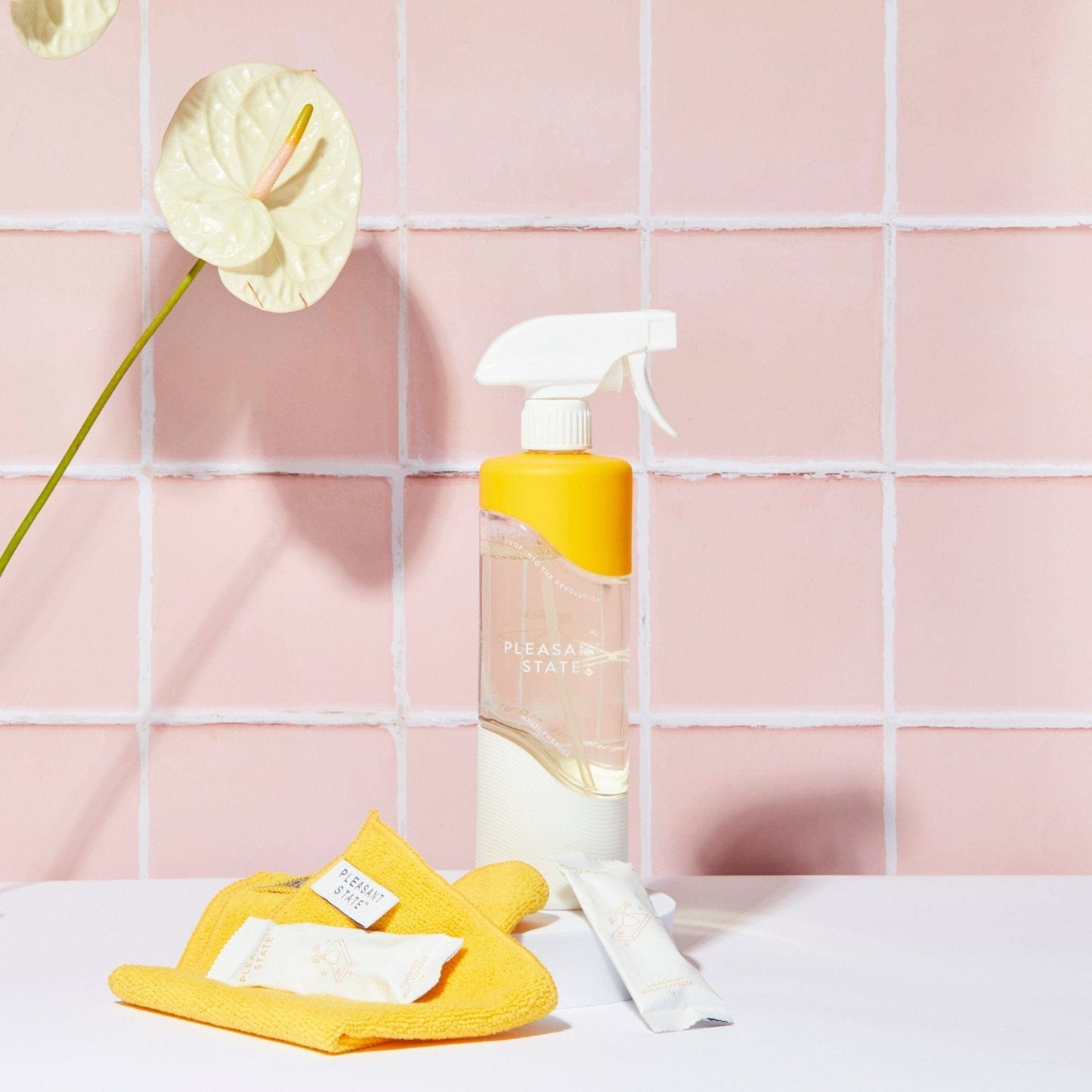 Multi-Purpose Cleaning Kit