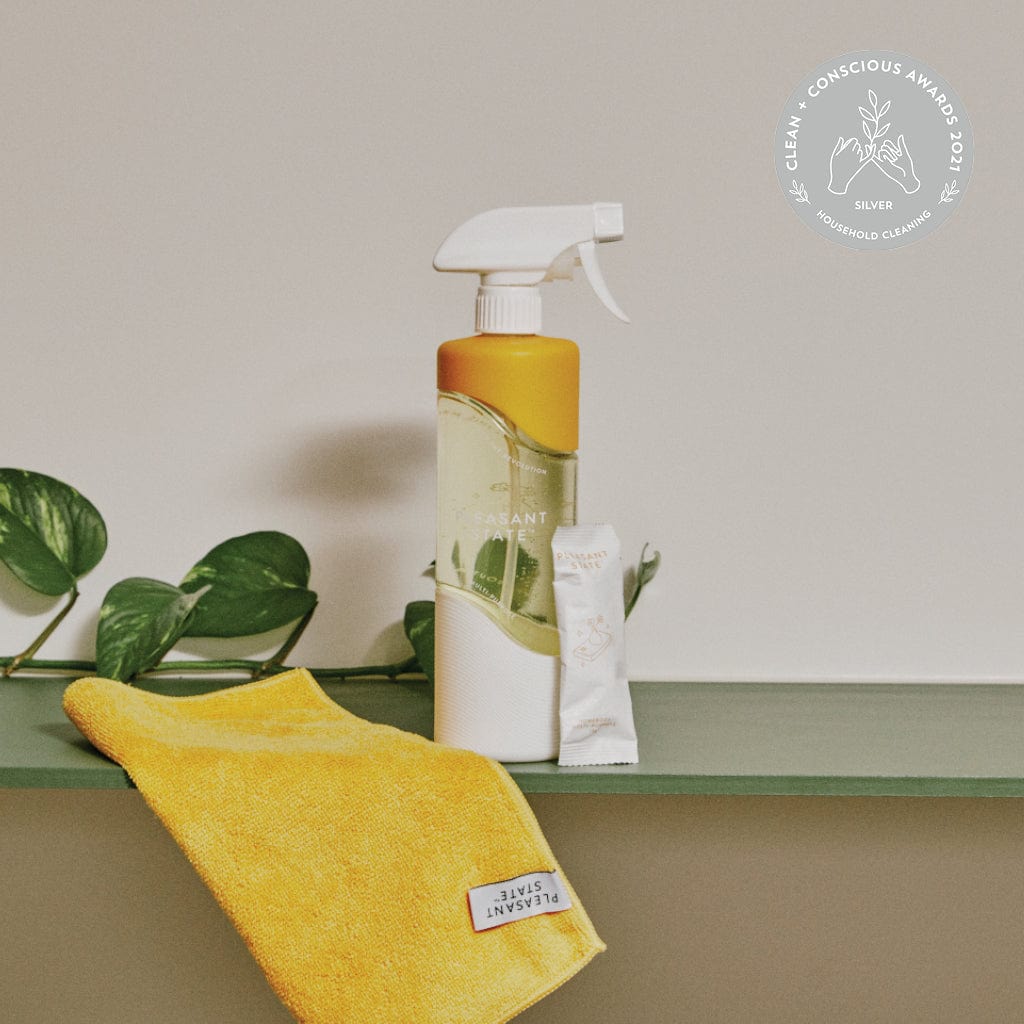 Multi-Purpose Cleaning Kit