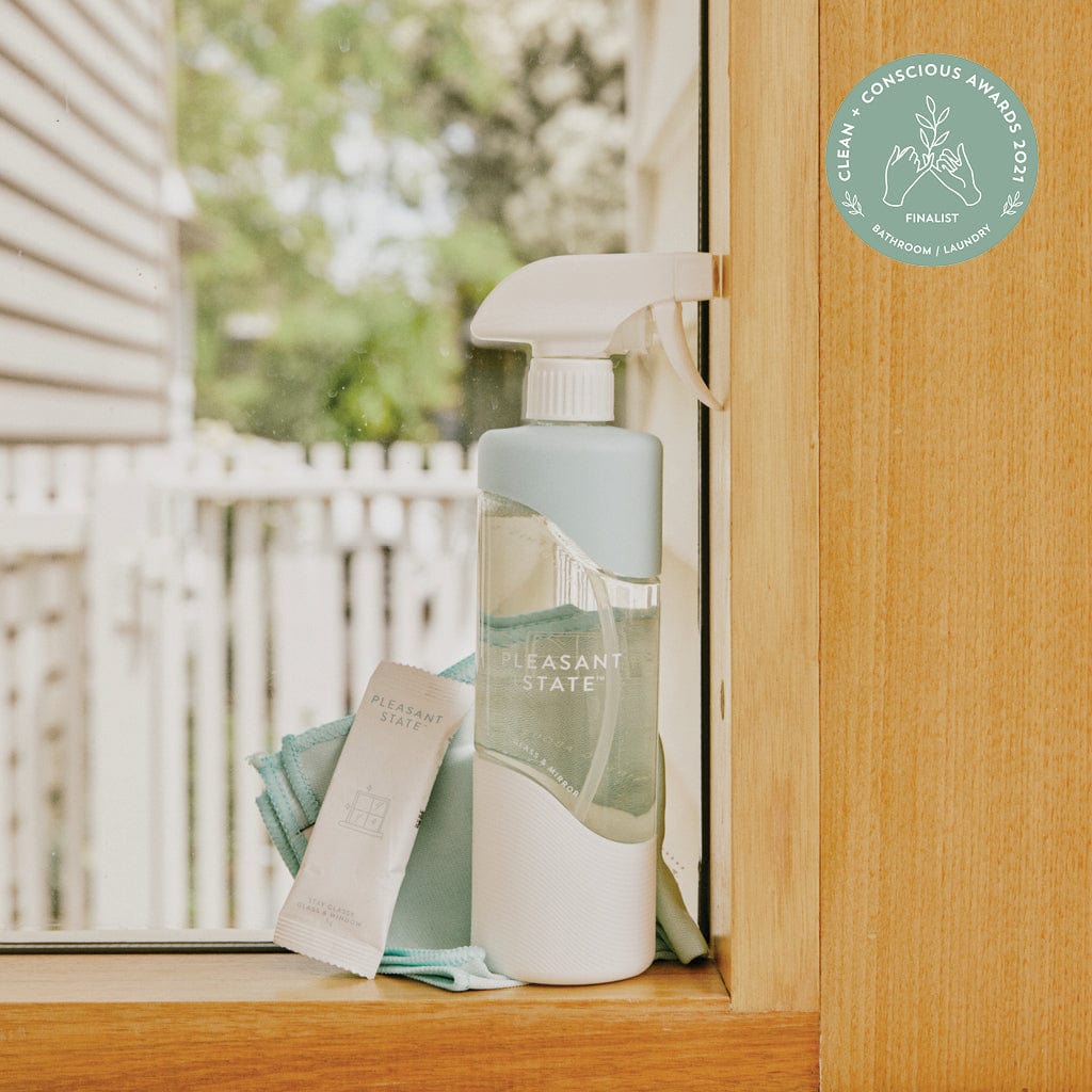 Glass and Window Cleaning Kit